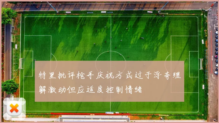 特里批评枪手庆祝方式过于浮夸理解激动但应适度控制情绪