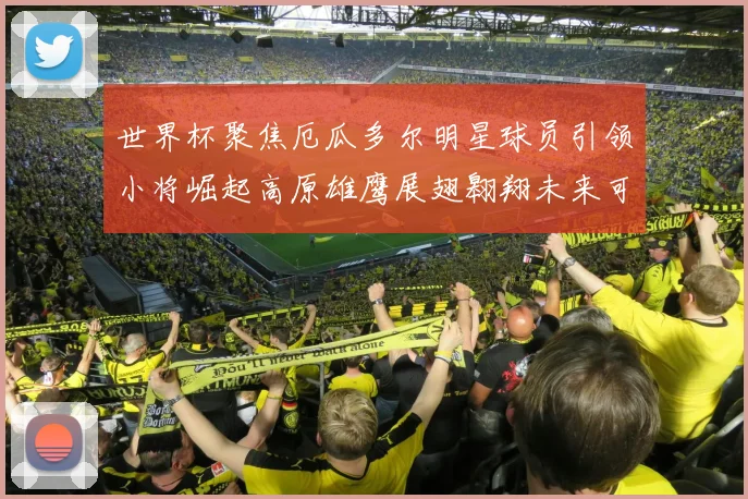 世界杯聚焦厄瓜多尔明星球员引领小将崛起高原雄鹰展翅翱翔未来可期