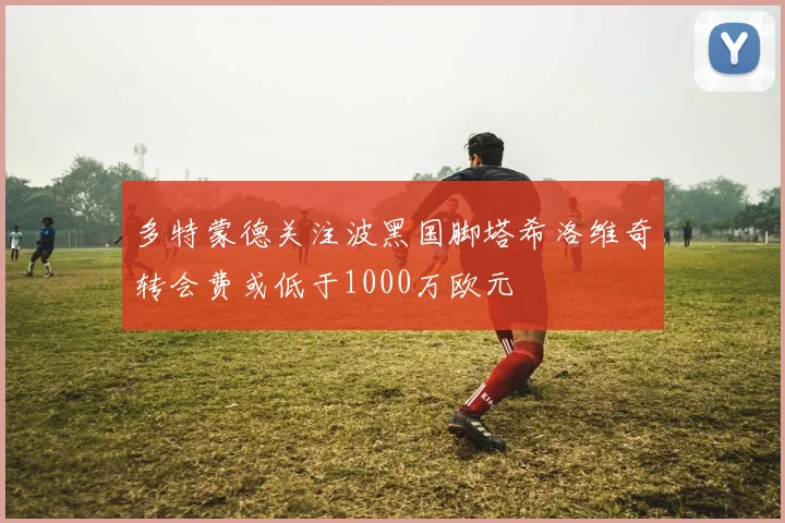 多特蒙德关注波黑国脚塔希洛维奇转会费或低于1000万欧元